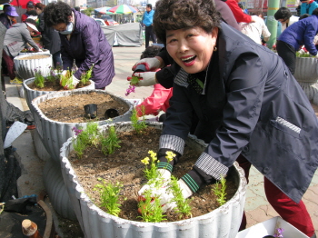 투박한 어르신들 손으로 심은 꽃이 도시 한구석에 빛 밝혀
