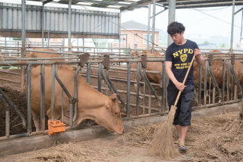 한우 사육부터 치료, 인공수정까지, 축산업에서 멀티플레이어를 꿈꾼다